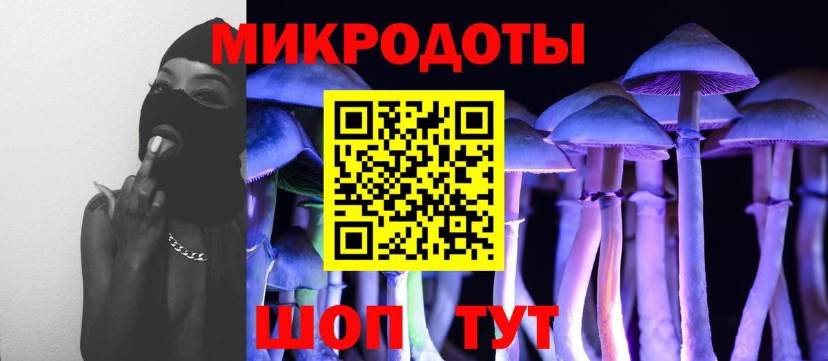 Галлюциногенные грибы Psilocybe Чехов