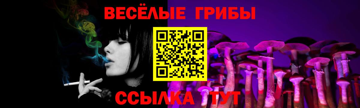 Галлюциногенные грибы мицелий  Вход с VPN  Чехов  Галлюциногенные грибы GOLDEN TEACHER 